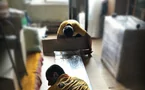 перевозка_личных_вещей_не_дорого_103_1384